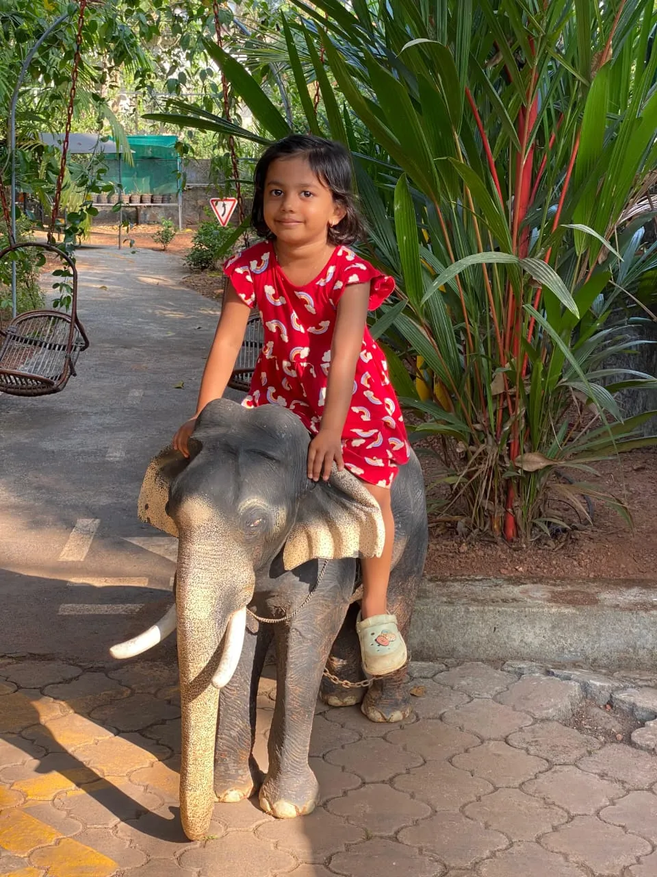 WhatsApp Image 2025-01-06 at 18.49.36 (1).webp